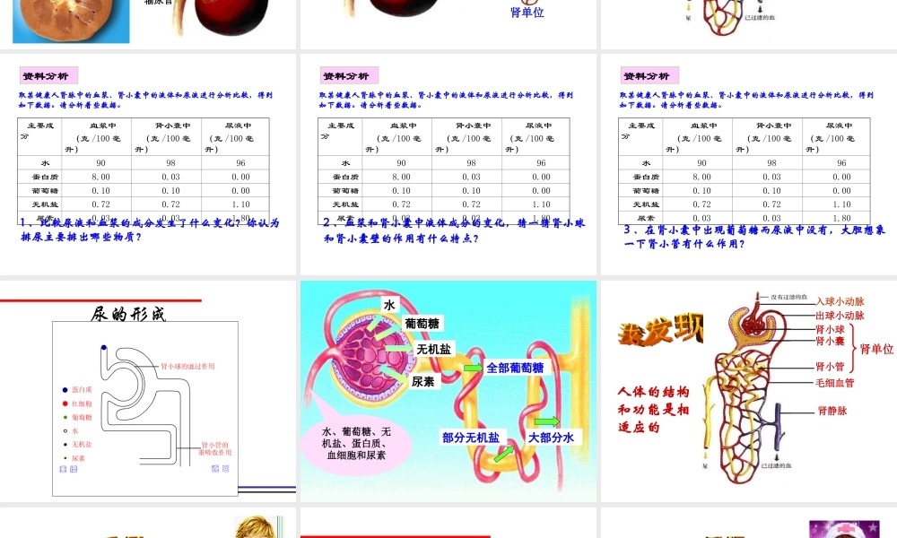2014七年级生物下册 5 人体内废物的排出课件2 新人教版