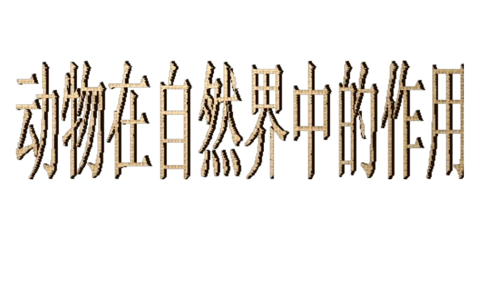 2014年秋八年级生物上册 第三章 第一节 动物在自然界中的作用课件 新人教版