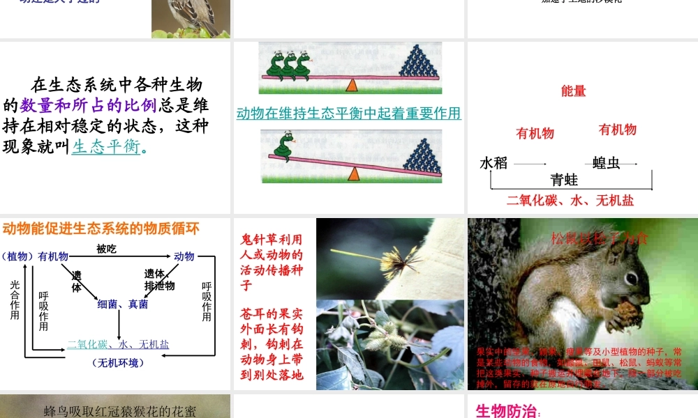 2014年秋八年级生物上册 第三章 第一节 动物在自然界中的作用课件 新人教版