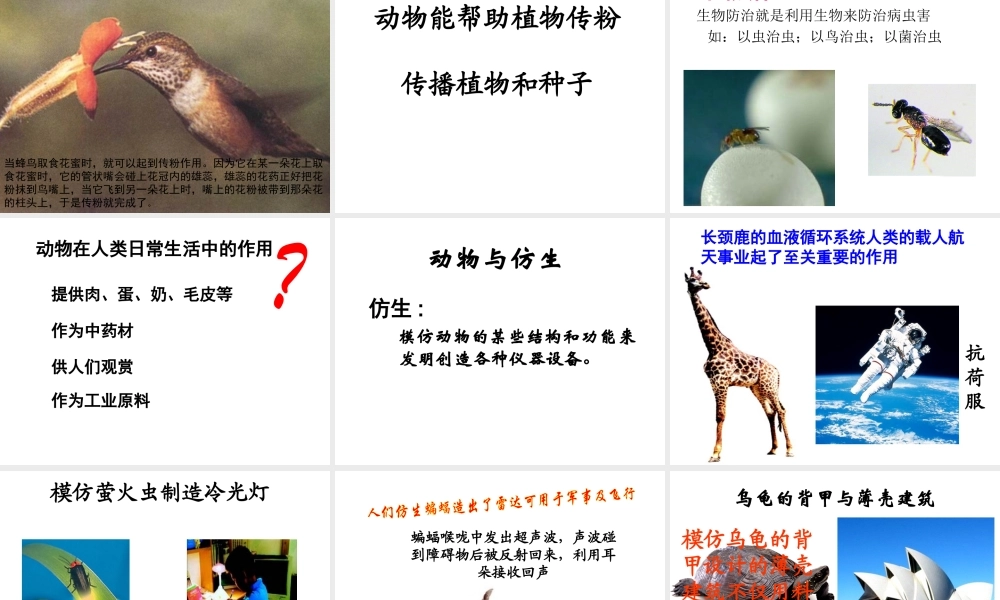 2014年秋八年级生物上册 第三章 第一节 动物在自然界中的作用课件 新人教版