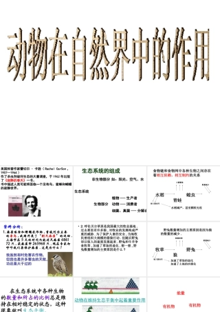 2014年秋八年级生物上册 第三章 第一节 动物在自然界中的作用课件 新人教版