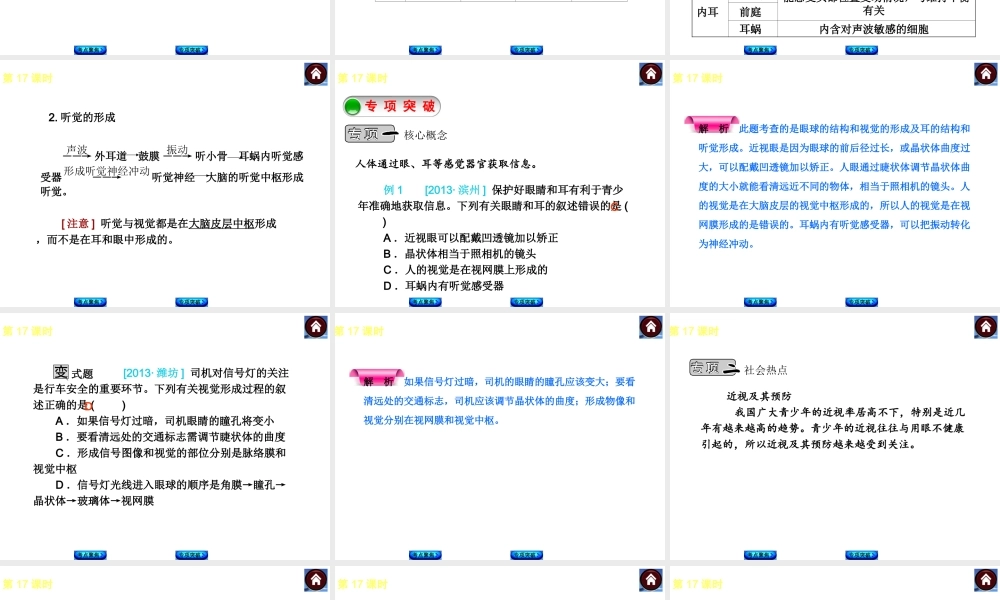 2014中考生物复习方案 人体对外界环境的感知（考点聚焦+专项突破，含2013试题）课件 新人教版