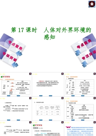 2014中考生物复习方案 人体对外界环境的感知（考点聚焦+专项突破，含2013试题）课件 新人教版