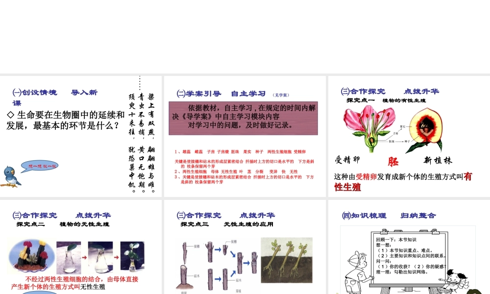 2015春八年级生物下册 第七单元 第一章 第一节 植物的生殖课件 新人教版