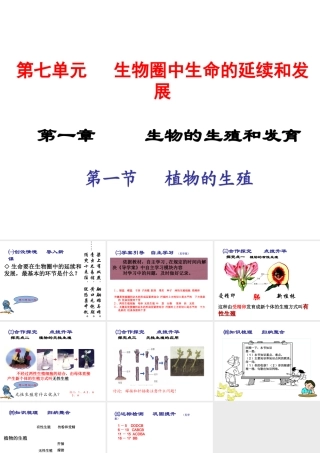 2015春八年级生物下册 第七单元 第一章 第一节 植物的生殖课件 新人教版
