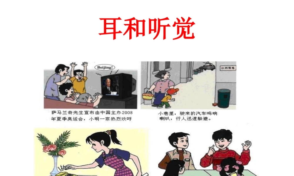 2014七年级生物下册 6.1 人体对外界环境的感知──耳与听觉课件1 新人教版