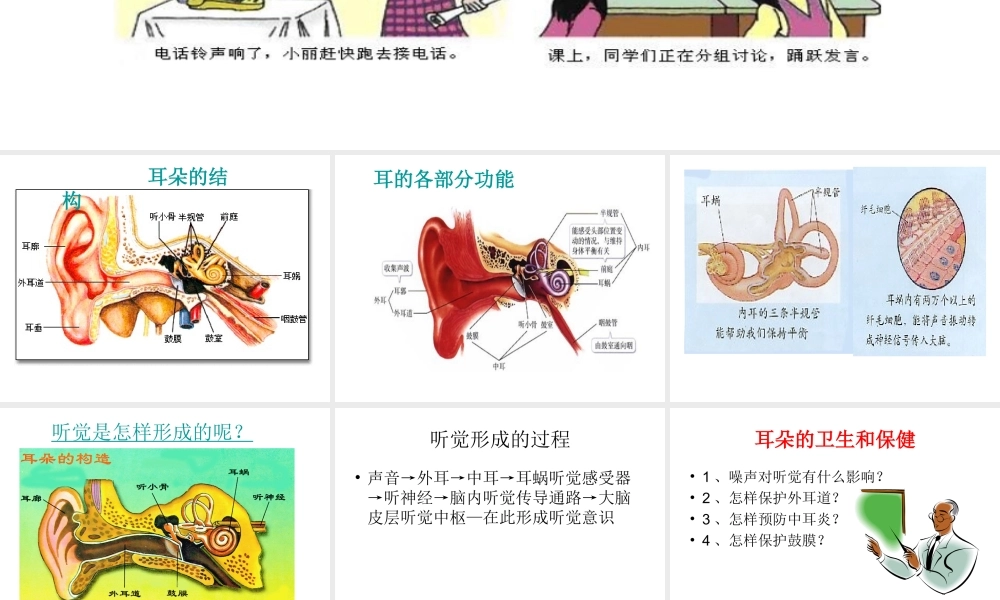 2014七年级生物下册 6.1 人体对外界环境的感知──耳与听觉课件1 新人教版