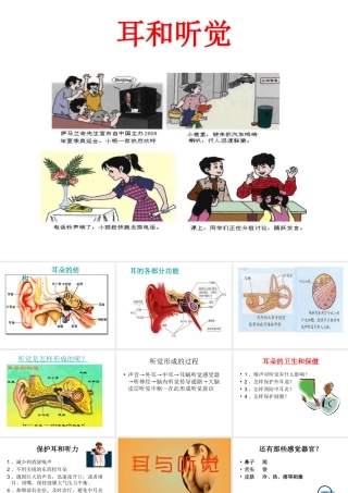2014七年级生物下册 6.1 人体对外界环境的感知──耳与听觉课件1 新人教版