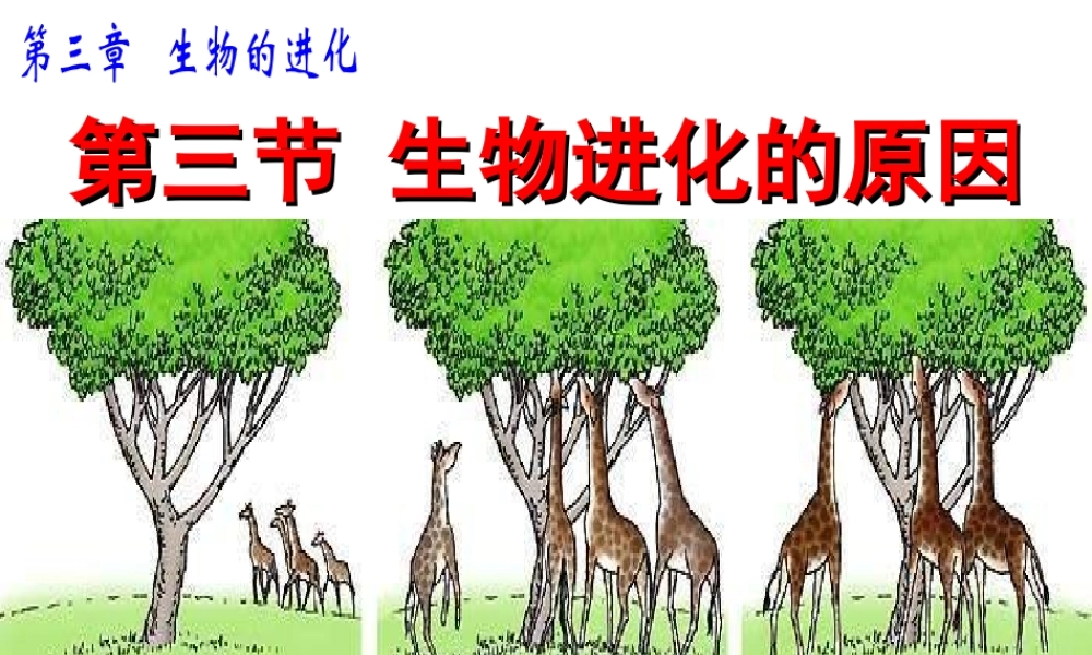2014秋八年级生物下册 第三章 第三节 生物进化的原因课件 新人教版