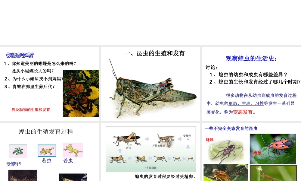 2014年秋八年级生物上册 第十九章 第二节 动物的生殖和发育课件 北师大版