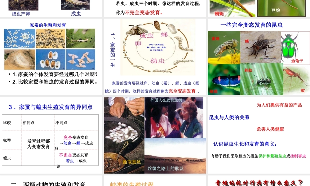 2014年秋八年级生物上册 第十九章 第二节 动物的生殖和发育课件 北师大版