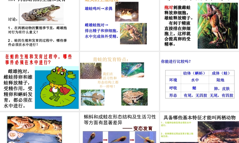 2014年秋八年级生物上册 第十九章 第二节 动物的生殖和发育课件 北师大版
