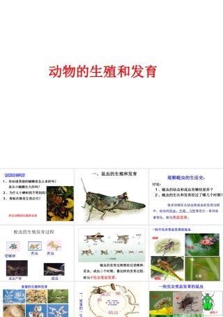2014年秋八年级生物上册 第十九章 第二节 动物的生殖和发育课件 北师大版