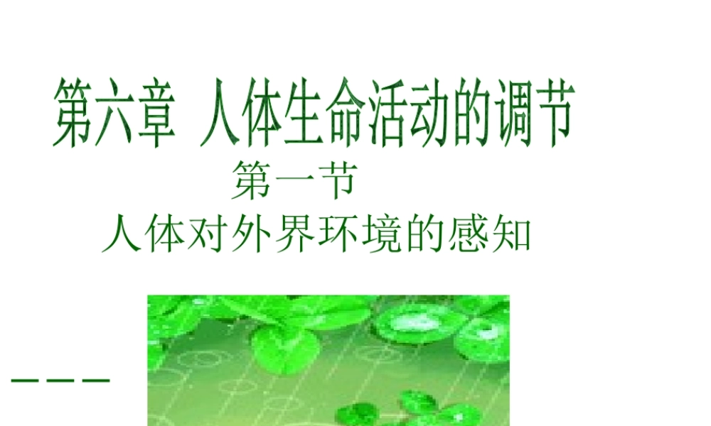 2014七年级生物下册 6.1 人体对外界环境的感知──眼和视觉课件2 新人教版