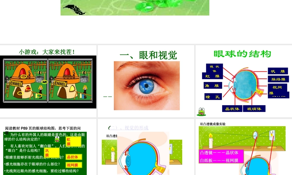 2014七年级生物下册 6.1 人体对外界环境的感知──眼和视觉课件2 新人教版