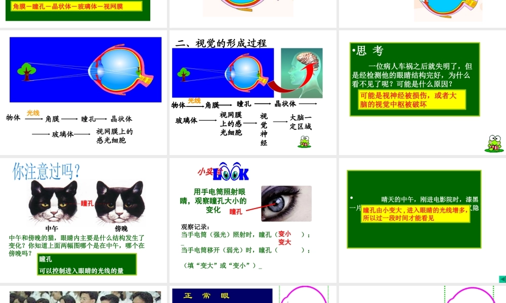 2014七年级生物下册 6.1 人体对外界环境的感知──眼和视觉课件2 新人教版
