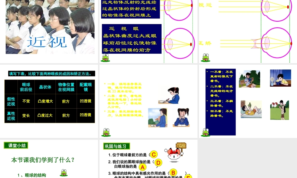 2014七年级生物下册 6.1 人体对外界环境的感知──眼和视觉课件2 新人教版