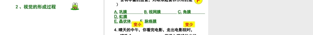 2014七年级生物下册 6.1 人体对外界环境的感知──眼和视觉课件2 新人教版