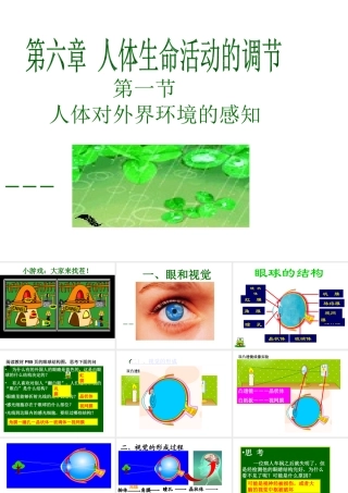 2014七年级生物下册 6.1 人体对外界环境的感知──眼和视觉课件2 新人教版