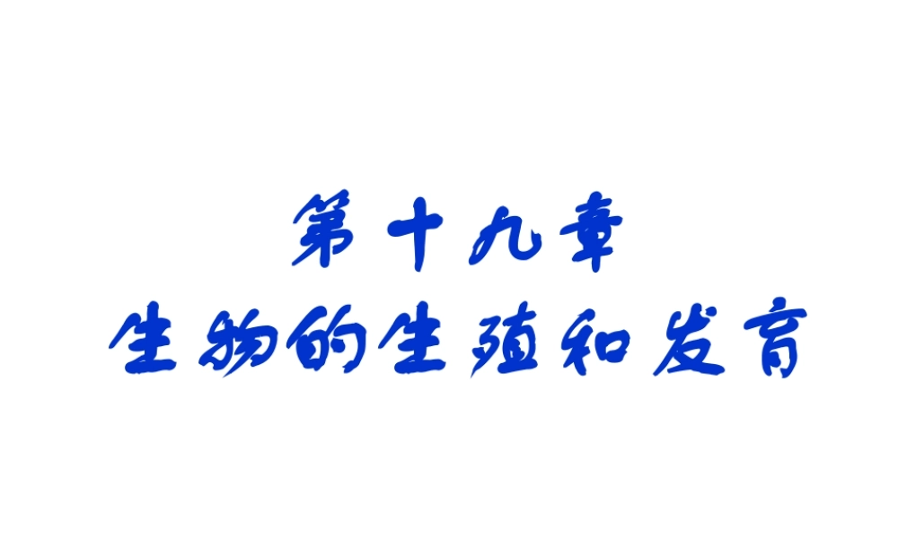 2014年秋八年级生物上册 第十九章 第一节 人的生殖和发育课件 北师大版