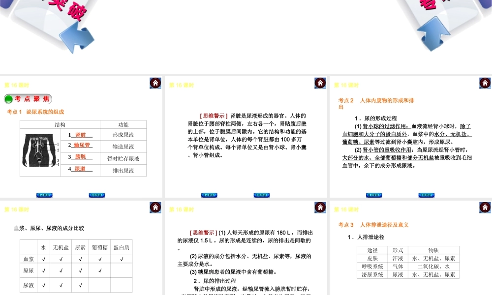 2014中考生物复习方案 人体内废物的排出（考点聚焦+专项突破，含2013试题）课件 新人教版