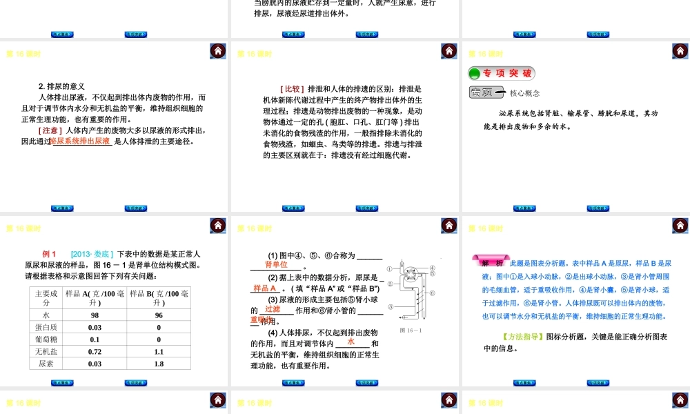 2014中考生物复习方案 人体内废物的排出（考点聚焦+专项突破，含2013试题）课件 新人教版