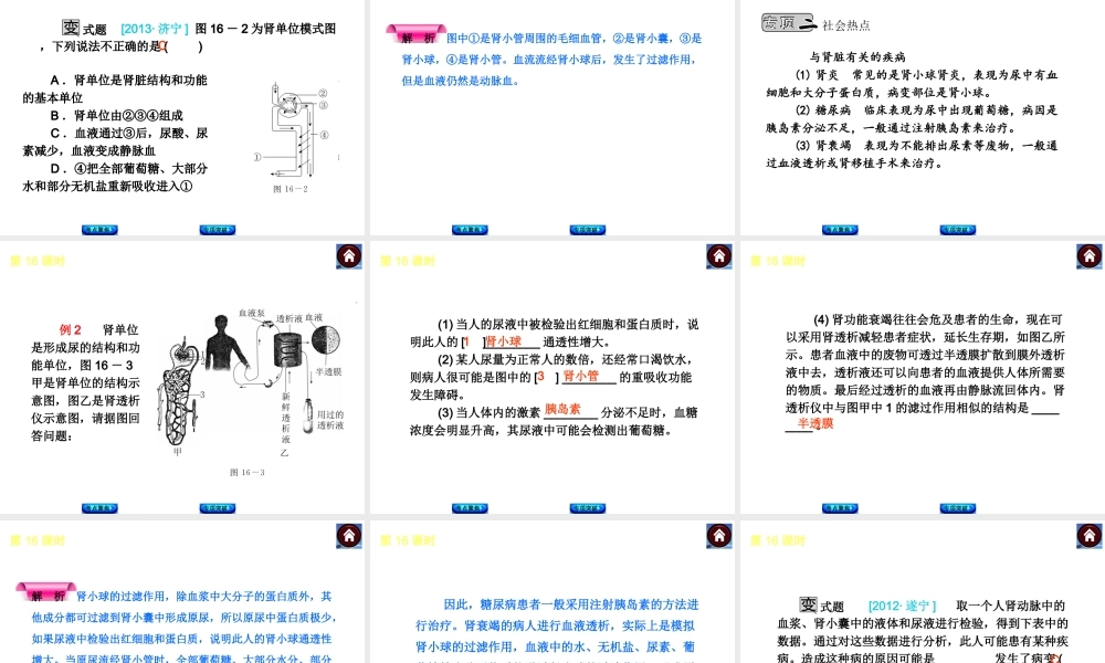 2014中考生物复习方案 人体内废物的排出（考点聚焦+专项突破，含2013试题）课件 新人教版
