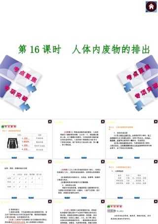 2014中考生物复习方案 人体内废物的排出（考点聚焦+专项突破，含2013试题）课件 新人教版