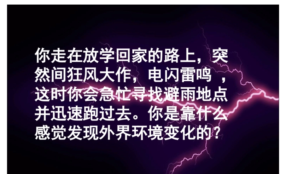 2014七年级生物下册 6.1 人体对外界环境的感知1课件 新人教版