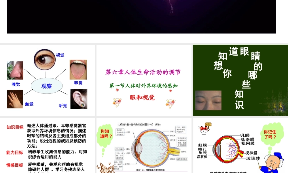 2014七年级生物下册 6.1 人体对外界环境的感知1课件 新人教版