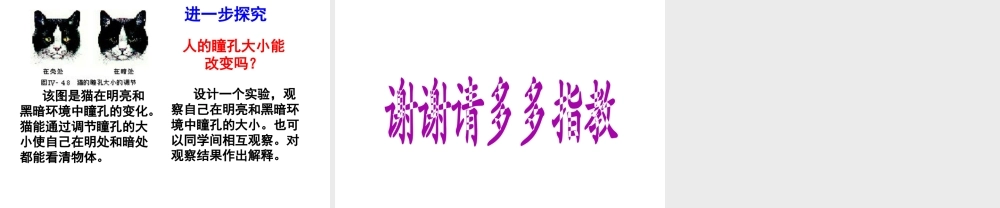 2014七年级生物下册 6.1 人体对外界环境的感知1课件 新人教版
