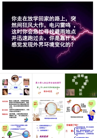 2014七年级生物下册 6.1 人体对外界环境的感知1课件 新人教版