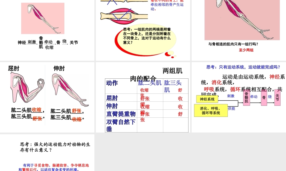 2014年秋八年级生物上册 第十六章 第二节 动物的行为课件 苏科版