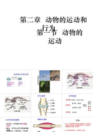 2014年秋八年级生物上册 第十六章 第二节 动物的行为课件 苏科版