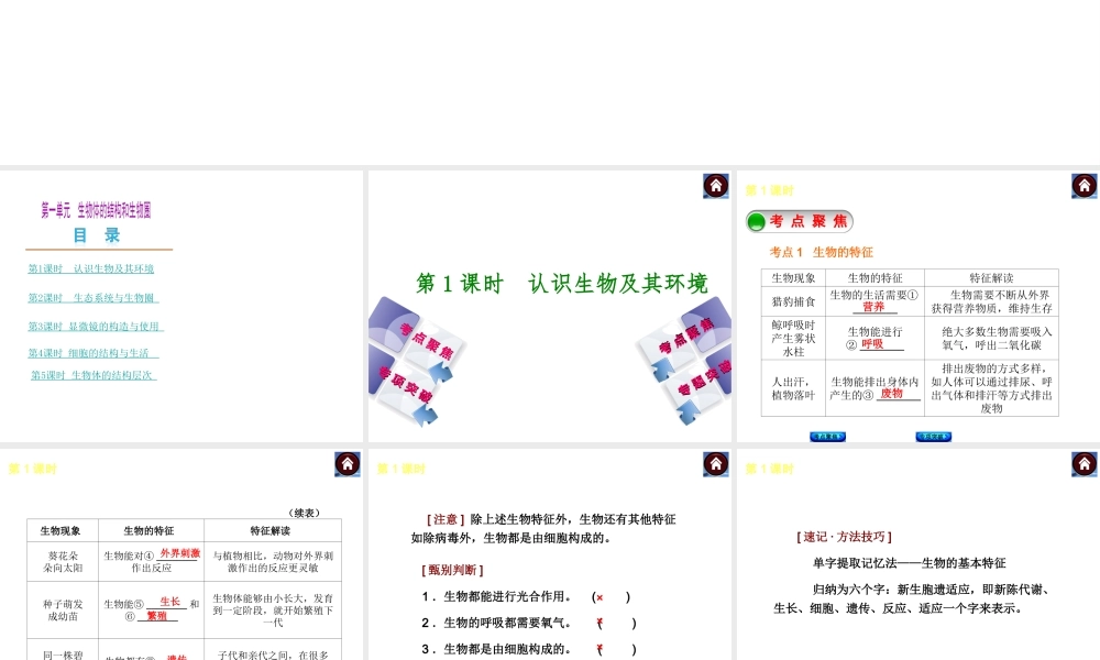 2014中考生物复习方案 认识生物及其环境（考点聚焦+专项突破，含2013试题）课件 新人教版