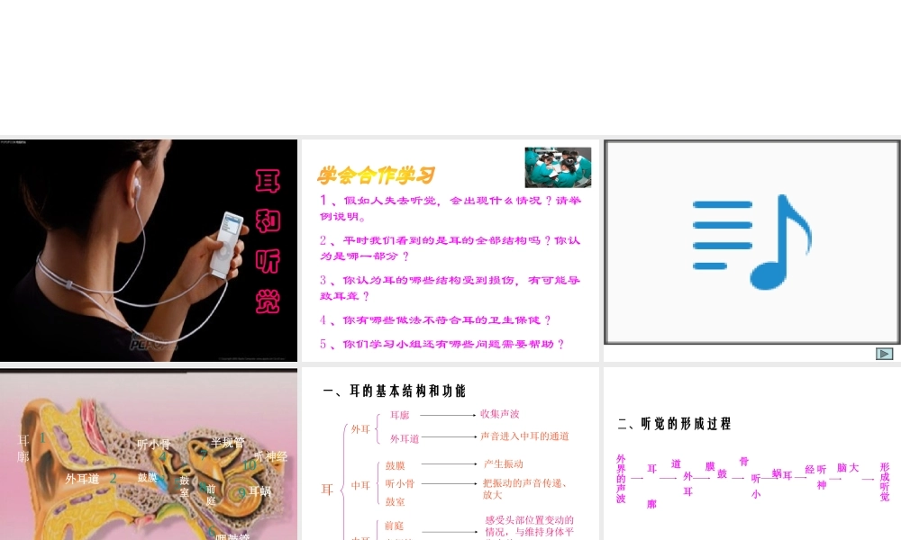 2014七年级生物下册 6.1 人体对外界环境的感知课件课件 新人教版