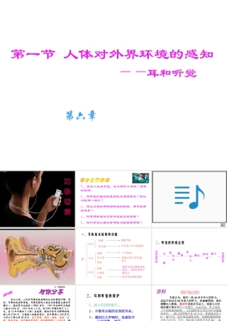 2014七年级生物下册 6.1 人体对外界环境的感知课件课件 新人教版