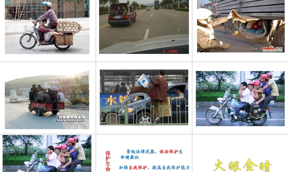 2014秋八年级政治上册 第八课 第一框 法律保护我们的生命健康权课件 鲁教版