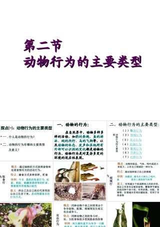 2014年秋八年级生物上册 第十六章 第二节 动物行为的主要类型课件 北师大版