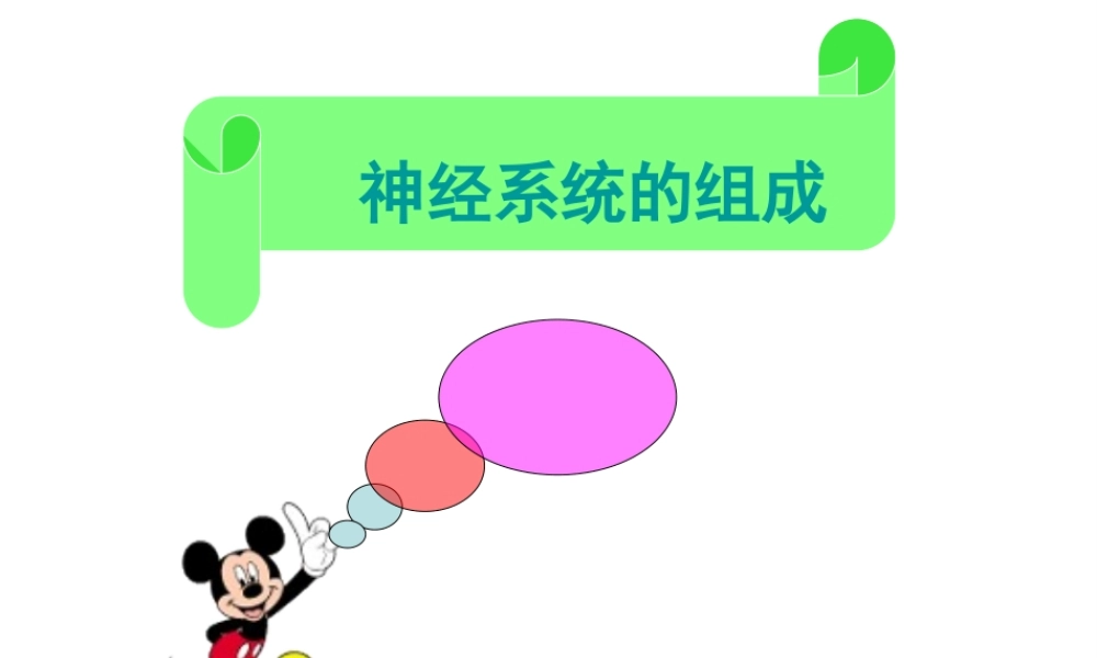 2014七年级生物下册 6.2 神经系统的组成课件 新人教版