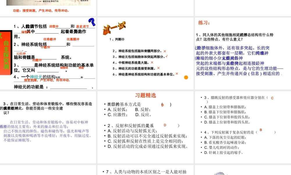 2014七年级生物下册 6.2 神经系统的组成课件 新人教版