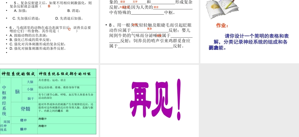 2014七年级生物下册 6.2 神经系统的组成课件 新人教版