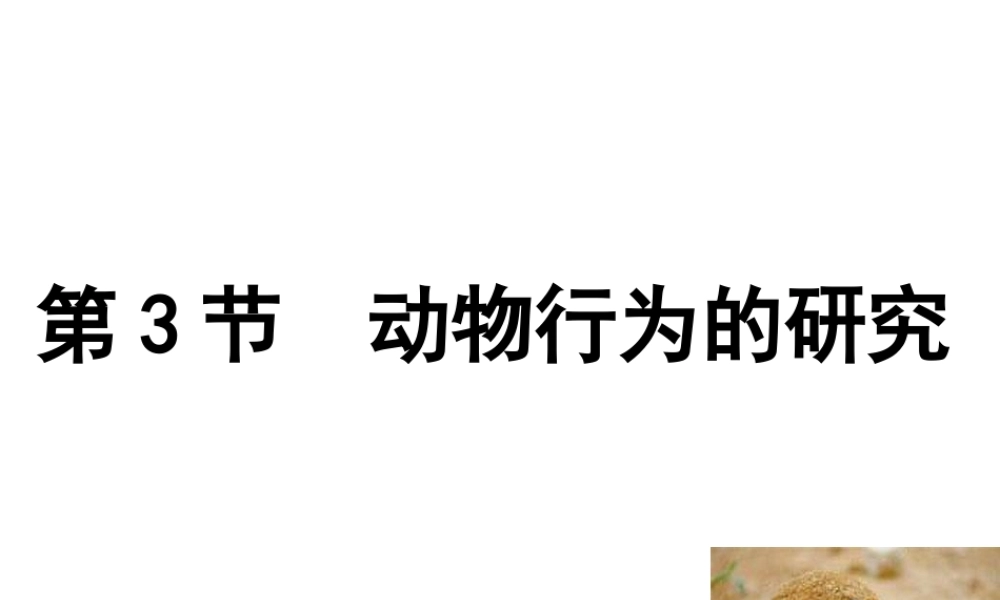 2014年秋八年级生物上册 第十六章 第三节 动物行为的研究课件 （新版）北师大版
