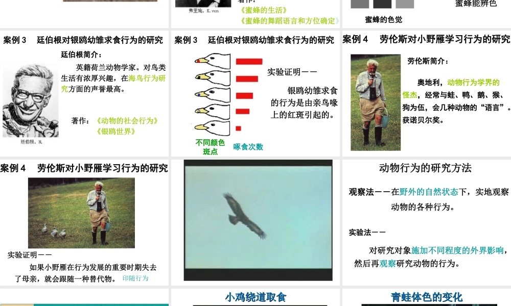 2014年秋八年级生物上册 第十六章 第三节 动物行为的研究课件 （新版）北师大版