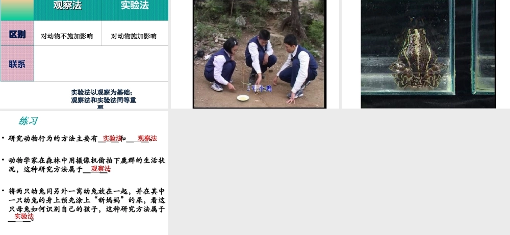 2014年秋八年级生物上册 第十六章 第三节 动物行为的研究课件 （新版）北师大版