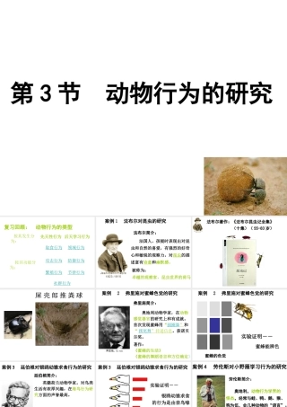 2014年秋八年级生物上册 第十六章 第三节 动物行为的研究课件 （新版）北师大版