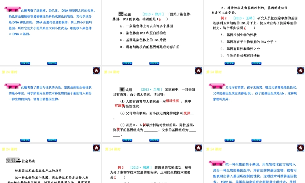 2014中考生物复习方案 生物的遗传和变异（考点聚焦+专项突破，含2013试题）课件 新人教版