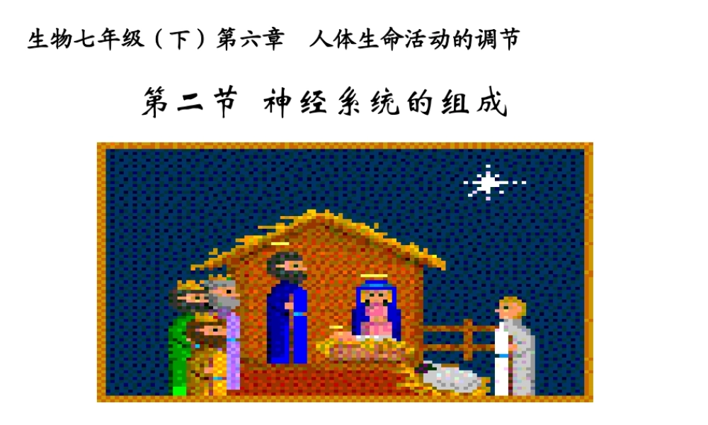 2014七年级生物下册 6.2 神经系统的组成课件1 新人教版