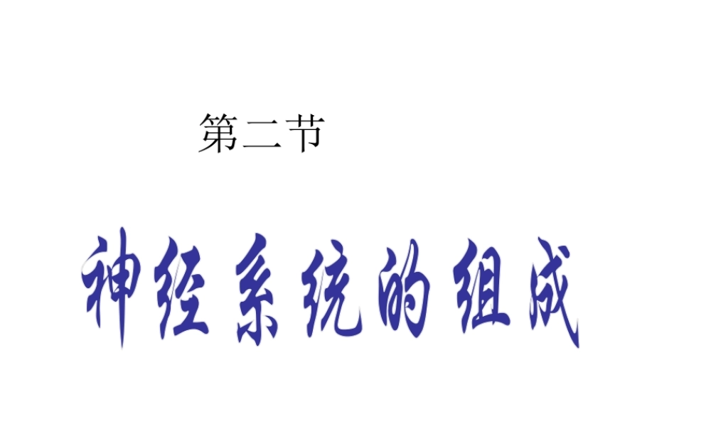 2014七年级生物下册 6.2 神经系统的组成课件2 新人教版