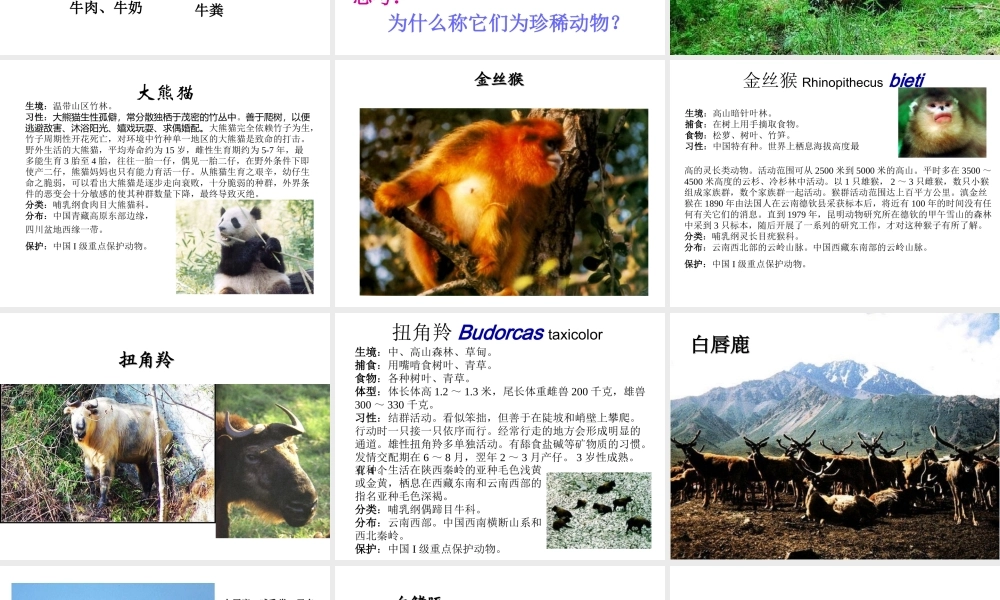 2014年秋八年级生物上册 第十七章 第二节 我国的动物资源课件 （新版）北师大版